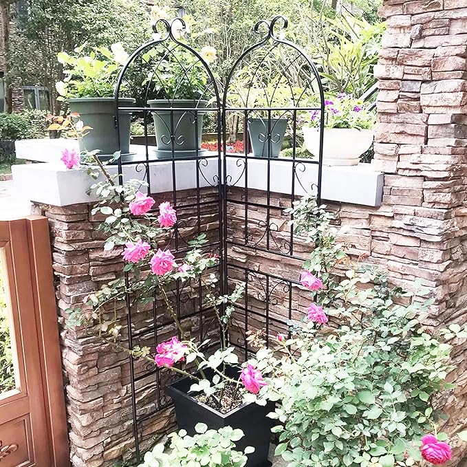 2 Pack Metal Garden Trellis for Climbing Plants 71" x 19.7" Outdoor Fence Rustproof Garden Trellis Support Roses Flower Lawn, Black 6FT