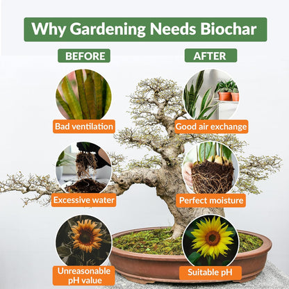 Premium Biochar Soil Enhancer – 100% Organic Charcoal Amendment for Improved Soil Health and Plant Growth (24 Quarts)