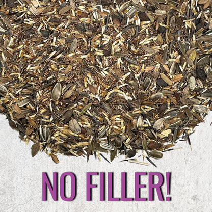 Seed Needs Garden Flower Seeds Large Blooms Mix Hummingbird and Butterfly | 10 Packs (1 Ounce Each) No Filler 7 Varieties Open Pollinated | Resealable Package Live Wild Flower Seed | Bulk