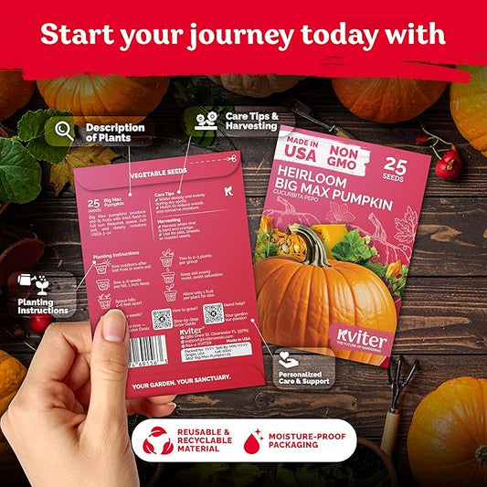 KVITER 25 Big Max Pumpkin Seeds for Planting (Cucurbita Pepo) – Giant Heirloom & Organic Pumpkin Seeds, Up to 100 lbs – Ideal Vegetable Seed Packets for Home Outdoor Garden