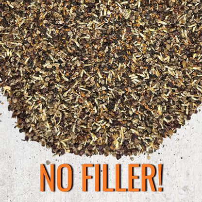 Seed Needs Partial Shade Wildflower Seed Mix for Planting | 10 Packs (1 Ounce Each) 14+ Varieties Open Pollinated Annual & Perennial Species | Flower Seeds Shade Tolerant | Bulk