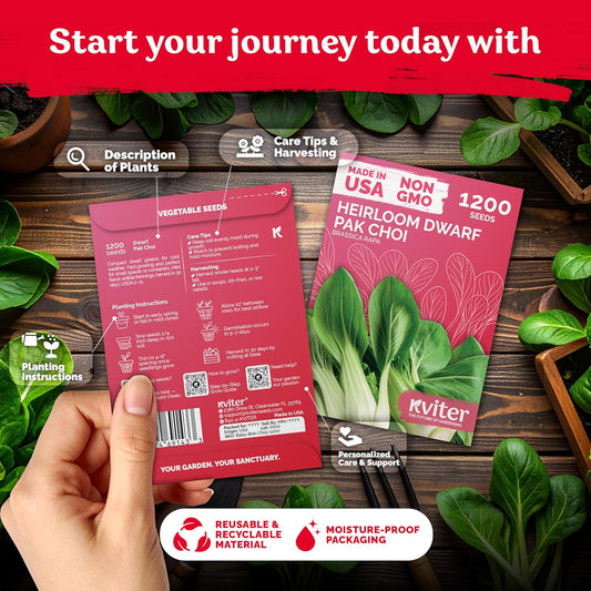 KVITER 1,200 Baby Bok Choy Seeds for Planting (Brassica rapa subsp. chinensis) – Heirloom Extra Dwarf Pak Choi, White Stem Chinese Variety – Organic Cabbage Seeds to Plant in Vegetable Garden