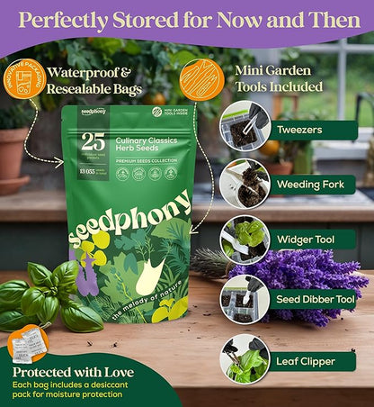 25 Culinary Herb Seeds Variety Pack - 13,055+ Non-GMO Heirloom Herbs Seeds for Planting Indoor & Outdoor: Rosemary, Basil, Catnip, Cilantro, Dill, Parsley, Oregano, Thyme, Mint, Tarragon, Lavender