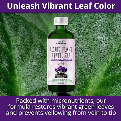 3-1-2 African Violet Fertilizer for Indoor Plants: Liquid Fertilizer with Essential Micronutrients Drops - Plant Food for African Violets (8 oz)