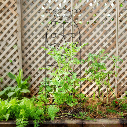 ARIFARO Garden Trellis 56″ H x16″ W (Pack of 4) Metal Climbing Plant Trellis Outdoor/Indoor Sturdy Flower Trellis for Climbing Vines, Rose, Potted Plants