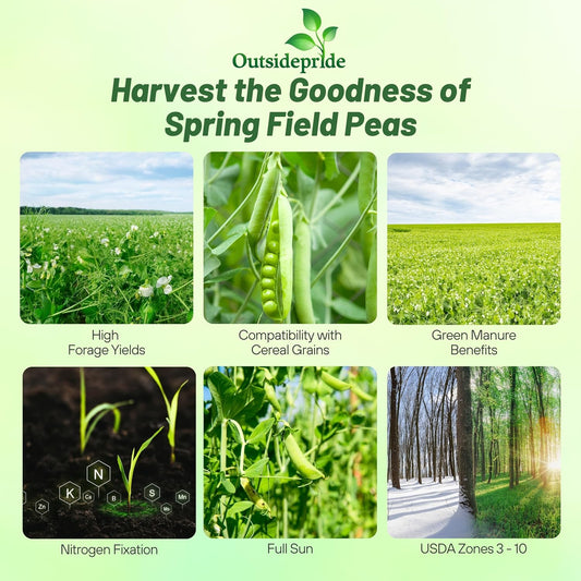 Outsidepride Dundale Spring Field Peas Seeds - 50 lbs. Annual, High-Protein Legume & Cover Crop Seeds for Forage, Food Plot, Gardens & Pastures - Ideal for Improving Soil Health, & Erosion Control