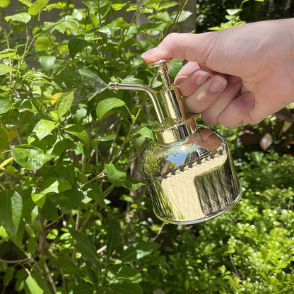 Stainless Steel Plant Mister Spray Bottle Watering Can for Indoor Plants Succulent Bonsai Garden Spray Houseplant Spritzer Modern Garden Tools 10oz/300ml (GOLD)