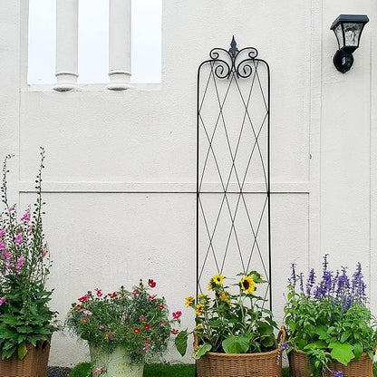 2 Pack 71" H x15 W Trellis,Black Garden Trellis for Climbing Plants Outdoor Metal Frame Sturdy Trellis for Rose