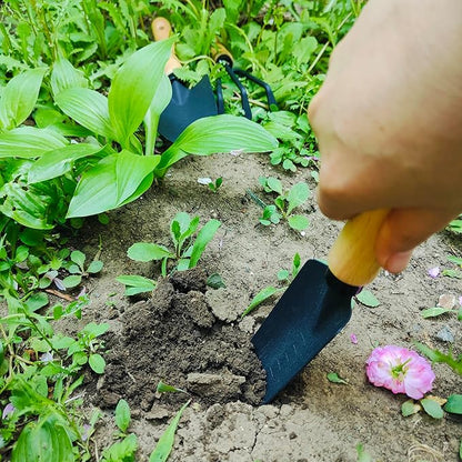 Gardening Tool, 3Pcs Heavy Duty Gardening Kit Including Trowel Transplanter Cultivator Gardening Hand Tools (3pcs Garden Tool)