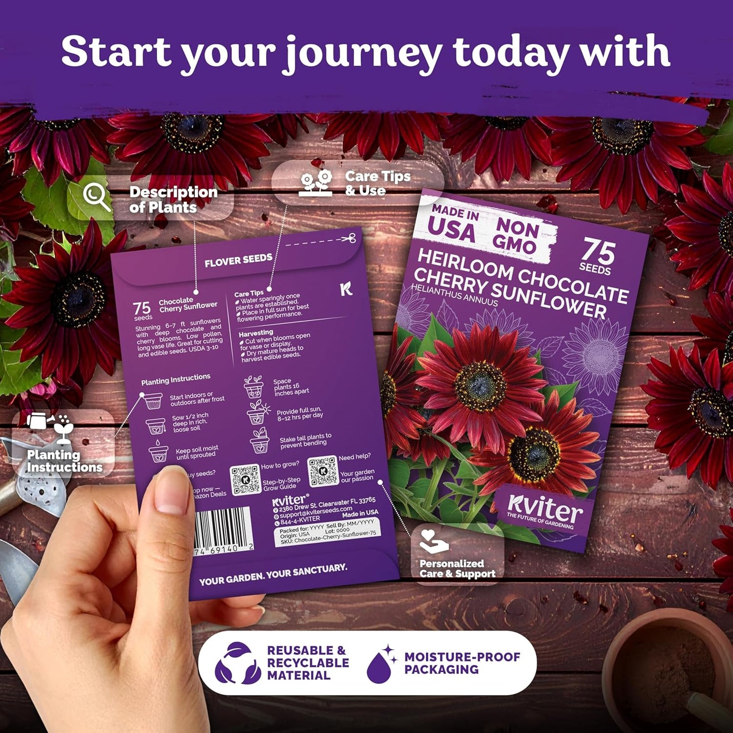 KVITER 75 Chocolate Cherry Sunflower Seeds to Plant (Helianthus annuus) – Heirloom Seed Non GMO Organic Sunflowers Variety, Long Vase-Life Blooms – Flower Seeds for Planting in Home Garden