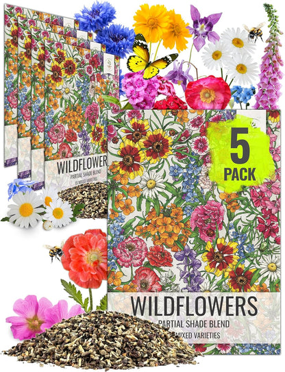 Seed Needs Partial Shade Wildflower Seed Mix for Planting | 5 Packs (1 Ounce Each) 14+ Varieties Open Pollinated Annual & Perennial Species | Flower Seeds Shade Tolerant | Bulk
