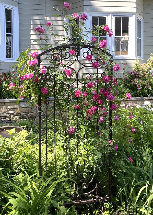 H Potter Trellis Garden Large Wrought Iron Heavy Scroll Metal Decoration Weather Resistant Lawn Patio Screen