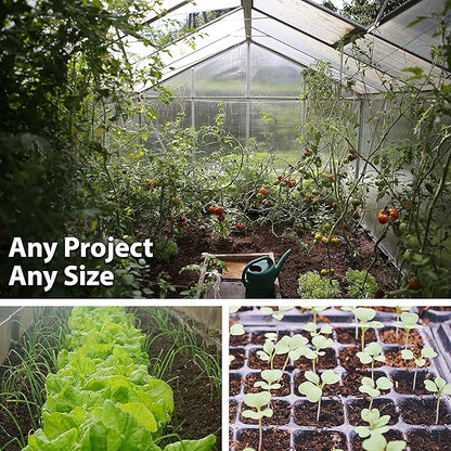 Blue Lake Bush Bean 274 Seeds - 5 Lbs - Non-GMO, Heirloom, Open Pollinated - Vegetable Garden Seeds - Green String Beans