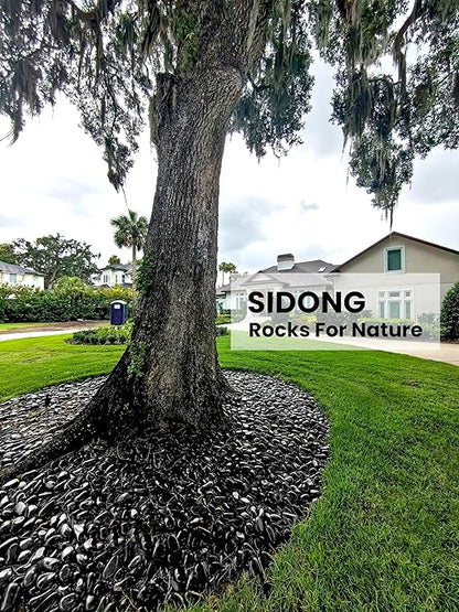 SIDONG 5 LB Black River Rocks, 0.3-0.5 Inches High Polished Pebbles for Indoor Plants, Aquarium Rocks Used in Fish Tank, Decorative Stones for Plants, Vases, Home Décor, Crafting, Garden Landscaping