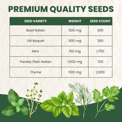 Herb Seeds | 5 Invidiual Packs | 2025 Season | Non-GMO | Basil, Dill, Mint, Parsley & Thyme! | for Planting Indoor & Outdoor | by Family Sown