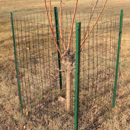 Black PVC Coated Welded Wire Fence 24 Inch x 25 Foot, 2 Inch x 3 Inch 16GA, Garden Border Fencing Roll Vinyl Coating Metal Wire Mesh for Yard Vegetable Plant Protection Poultry Netting