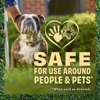 O.M. Scott and Sons Clover Seed, Lawn Seed Grows a Naturally Low Maintenance, Drought-Tolerant Lawn, 1,000 sq. ft., 2 lb.