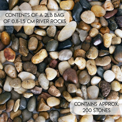 2 lbs Approx. 200 River Rocks Stones for Plants Pebbles for Indoor Plants | Aquarium Fish Tank Rocks | Polished Decorative Rocks for Vases (0.3-0.6 Inches)