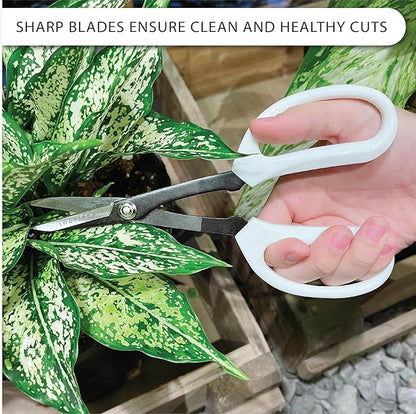 Precision Gardening Scissors Plant Trimming Pruning Shears Garden Pruners for Orchid Bonsai Hydroponic Flower Clipper Garden Snip 8 Inch Long