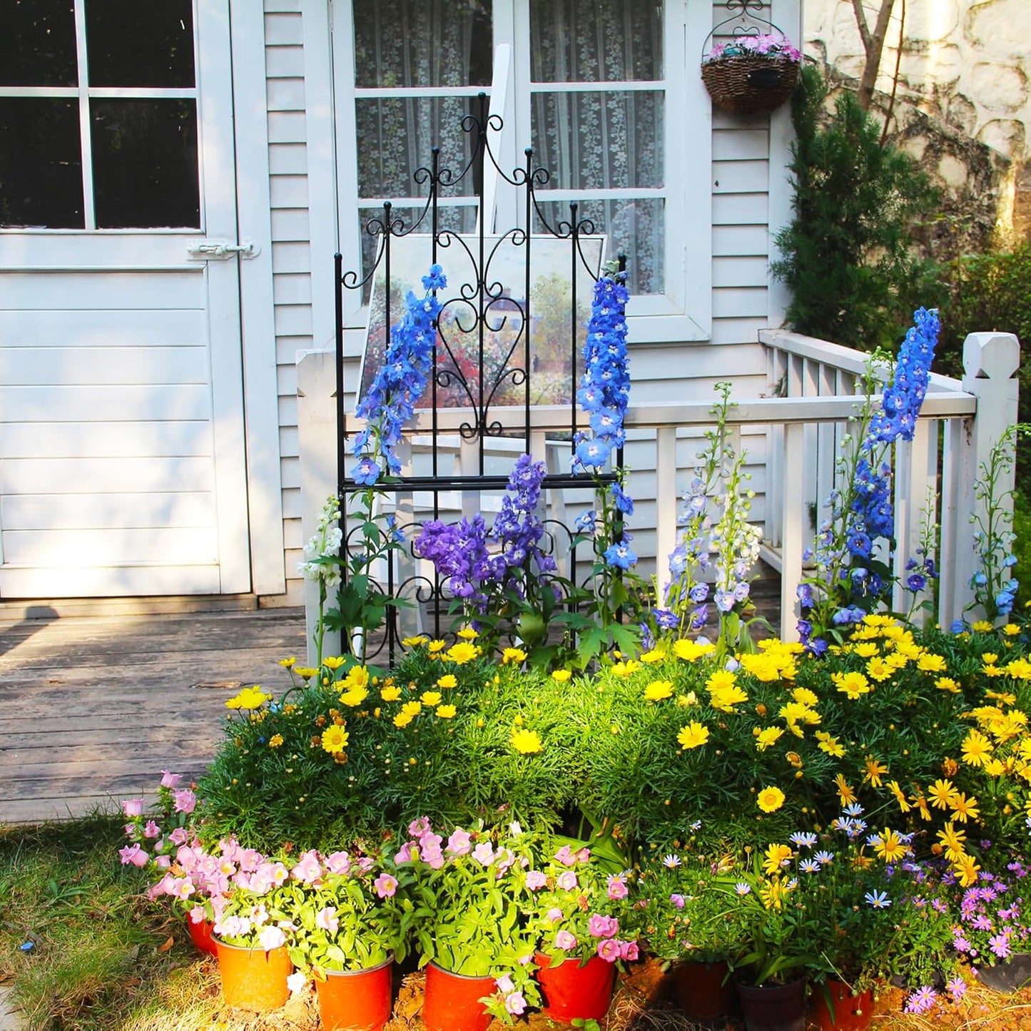 Trellis 59" H x 21.6" W Iron Unique Design Metal Trellis Durable Construction Lattice Outdoor Roses Vine Ivy Clematis Trellises Climbing Plant Support Black Coating Black