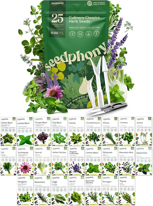25 Culinary Herb Seeds Variety Pack - 13,055+ Non-GMO Heirloom Herbs Seeds for Planting Indoor & Outdoor: Rosemary, Basil, Catnip, Cilantro, Dill, Parsley, Oregano, Thyme, Mint, Tarragon, Lavender