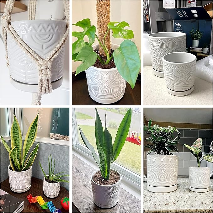 D'vine Dev Set of 2 Modern Matte White Floral Embossed Ceramic Planter Pot with Saucer and Drainage Hole, 4 Inch & 6 Inch, 99-C-1-M