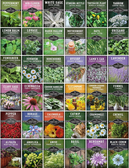 Ultimate Medicinal Herb Seeds Variety Pack – 36 Heirloom Varieties, 28,000+ Lavender, Calendula, Echinacea, Peppermint, Yarrow – Non-GMO Garden Kit by Survival Garden Seeds