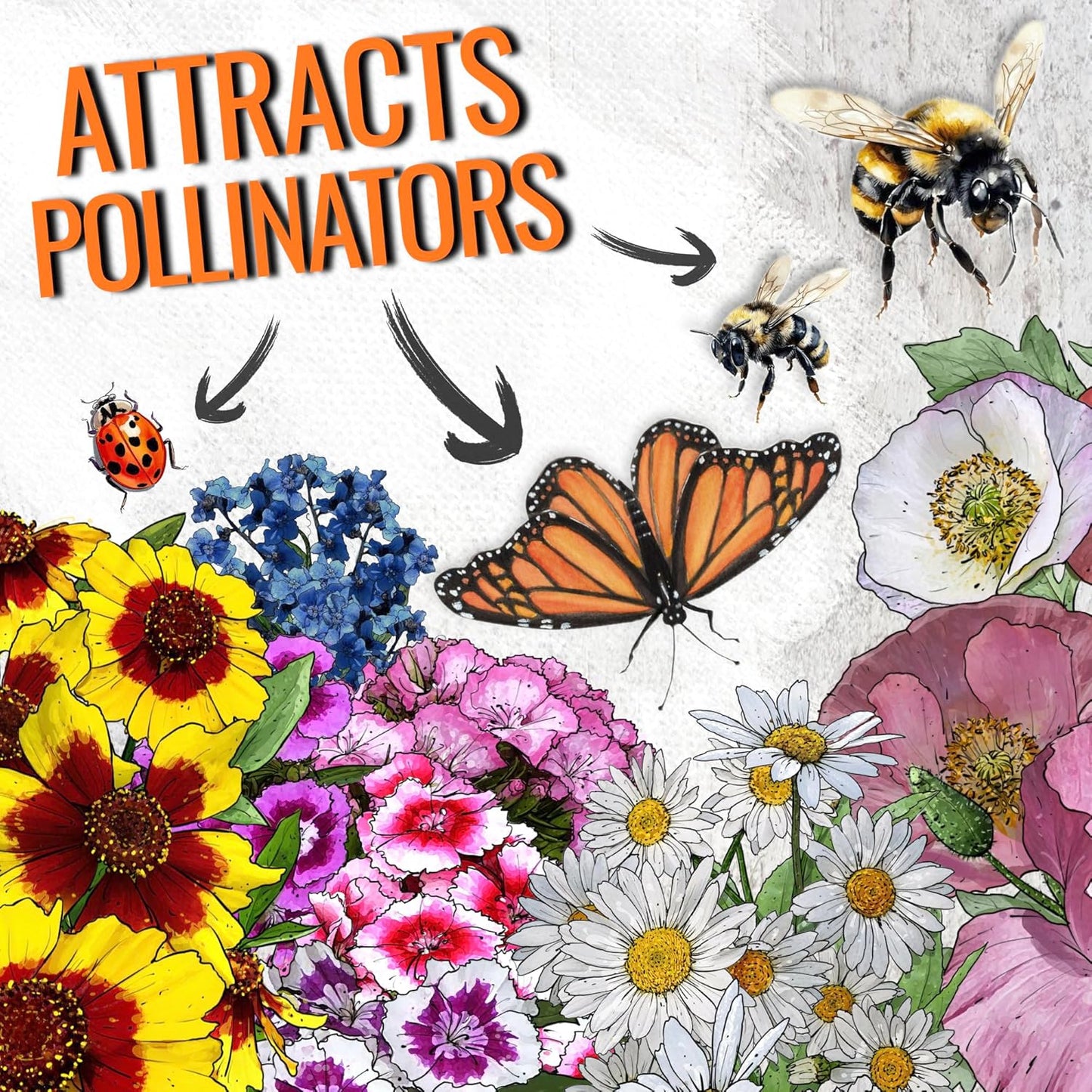 Seed Needs Partial Shade Wildflower Seed Mix for Planting | 2 Packs (1 Ounce Each) 14+ Varieties Open Pollinated Annual & Perennial Species | Flower Seeds Shade Tolerant | Bulk