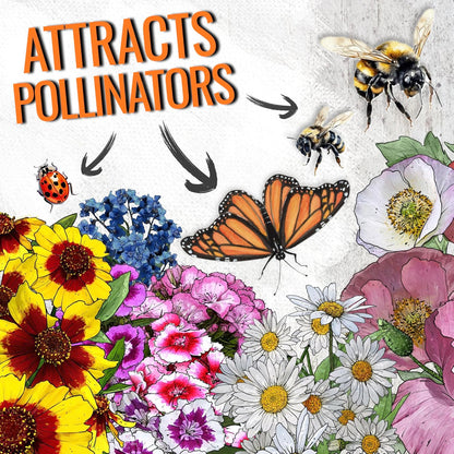 Seed Needs Partial Shade Wildflower Seed Mix for Planting | 10 Packs (1 Ounce Each) 14+ Varieties Open Pollinated Annual & Perennial Species | Flower Seeds Shade Tolerant | Bulk