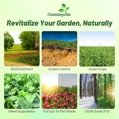 Outsidepride Gardenway Cover Crop Seeds - 50 lbs Fast Growing, Easy to Establish, Nutrient-Rich Mix for Soil Health & Home Gardens - Mixture of Triticale, Peas, Vetch, Annual Ryegrass, Crimson Clover