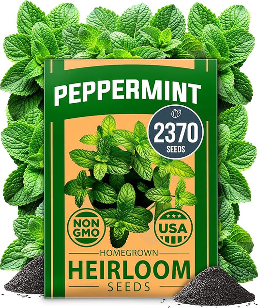 HOME GROWN 𝗨𝗦𝗔 𝗣𝗥𝗘𝗠𝗜𝗨𝗠 Peppermint Seeds Pack – 2,370 𝗡𝗢𝗡-𝗚𝗠𝗢 Heirloom Mint Seeds for Planting. Grow Peppermint Plants in Your Herb Garden Indoors or Outdoors (Mentha x piperita)