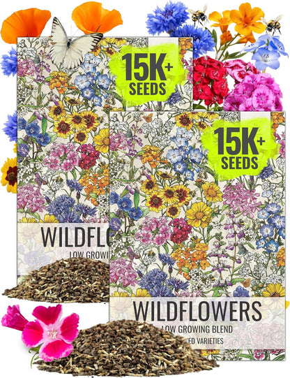 Seed Needs Low Growing Wildflower Flower Seeds for Planting | 2 Packs (1 Ounce Each) Mixture/Blend 17 Varieties | Resealable Package Multicolored Blooms Open Pollinated Mixed Species | Bulk
