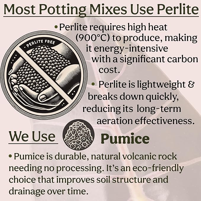 Craft Organic Houseplant Potting Mix, Elite House Plant Soil, Chunky, Well Draining Potting Soil for All Indoor Plants, Tropical Plants & Flowers, Sustainable & Peat Free, Less Prone to Gnats, 2QT