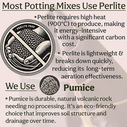 Craft Houseplant Potting Mix, Elite House Plant Soil, Chunky, Well Draining Potting Soil for Indoor Plants, Tropical Plants & Potted Plants, Sustainable & Peat Free, Less Prone to Gnats 4qt