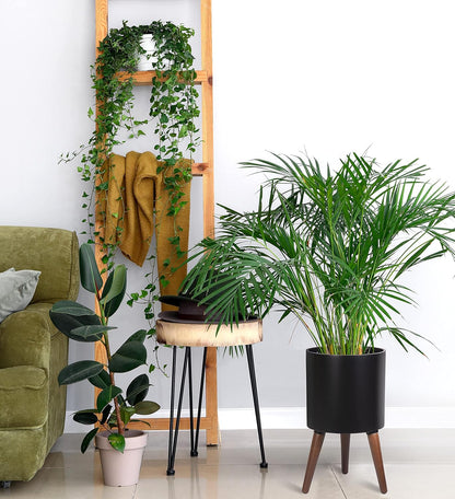 D'vine Dev 10 Inch Planter Pot with Stand, Mid-Century Tall Plant Pot with Legs for Indoor Plants, Medium, Black, 88-O-B-2