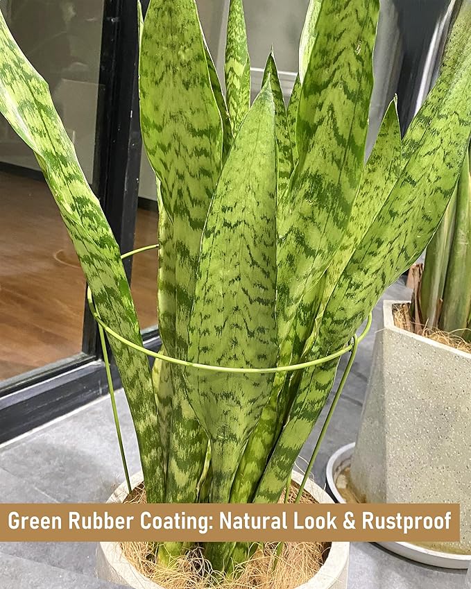 3-Pack Heavy Duty Garden Plant Stakes, 4.2mm Steel Plant Support Stakes for Indoor Outdoor Use - Tomato Cages, Monstera, Peony Supports for Potted Plants & Trees - 10" W x 17" H (Mint Green)