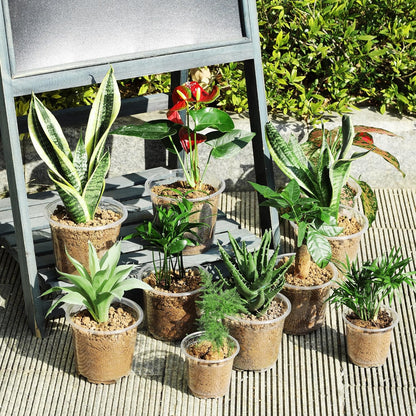 60 Pack 3.5/4/5 Inch Reinforced Clear Nursery Pots with Drainage Holes, Transparent Variety Pack Plastic Plant Pot Seed Starter Pots Flower Pots Come with 50pcs Plant Labels