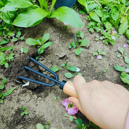 Gardening Tool, 3Pcs Heavy Duty Gardening Kit Including Trowel Transplanter Cultivator Gardening Hand Tools (3pcs Garden Tool)