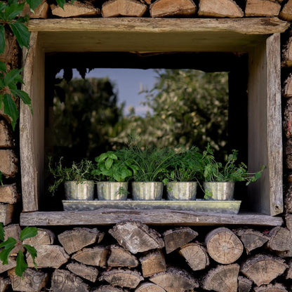 SCANDINORDICA Galvanized Metal Herb Planter, 5 Pots with Drainage Holes, Indoor Outdoor Use, Farmhouse Decor, 19.5x3.9x3.5 inches