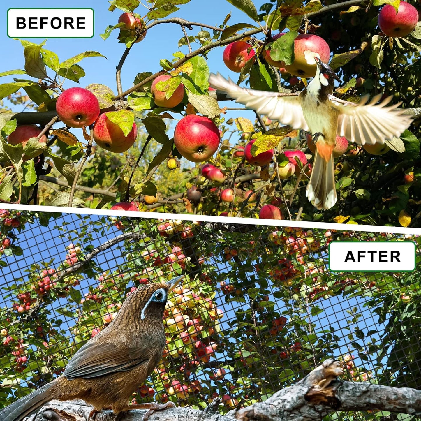 100'x100' Bird Netting for Chicken Coop, Nylon 3/4" Mesh Poultry Netting Chicken Nettings Roof Hawk, Aviary Net Deer Fence Garden Netting for Fruits Trees Plant