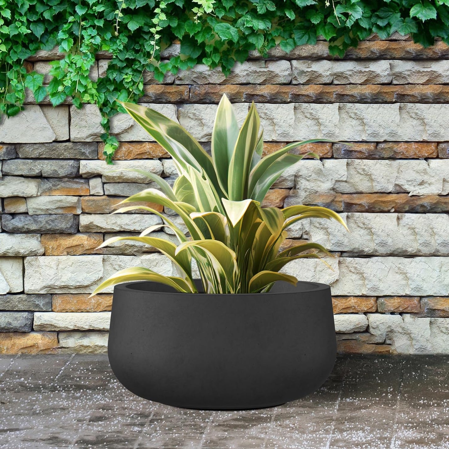 Kante 11.8" Dia Round Concrete Planter, Cement Plant Pots with Drainage Hole and Rubber Plug for Outdoor Indoor Garden Home, Modern Curvaceous Design, Black