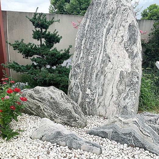 2 lbs Small White Pebbles for Plants, 0.8-1.2 inch Decorative River Rocks for Plants, Aquariums, Landscaping. White Stones for Planter Vase and Outdoor Garden Rocks