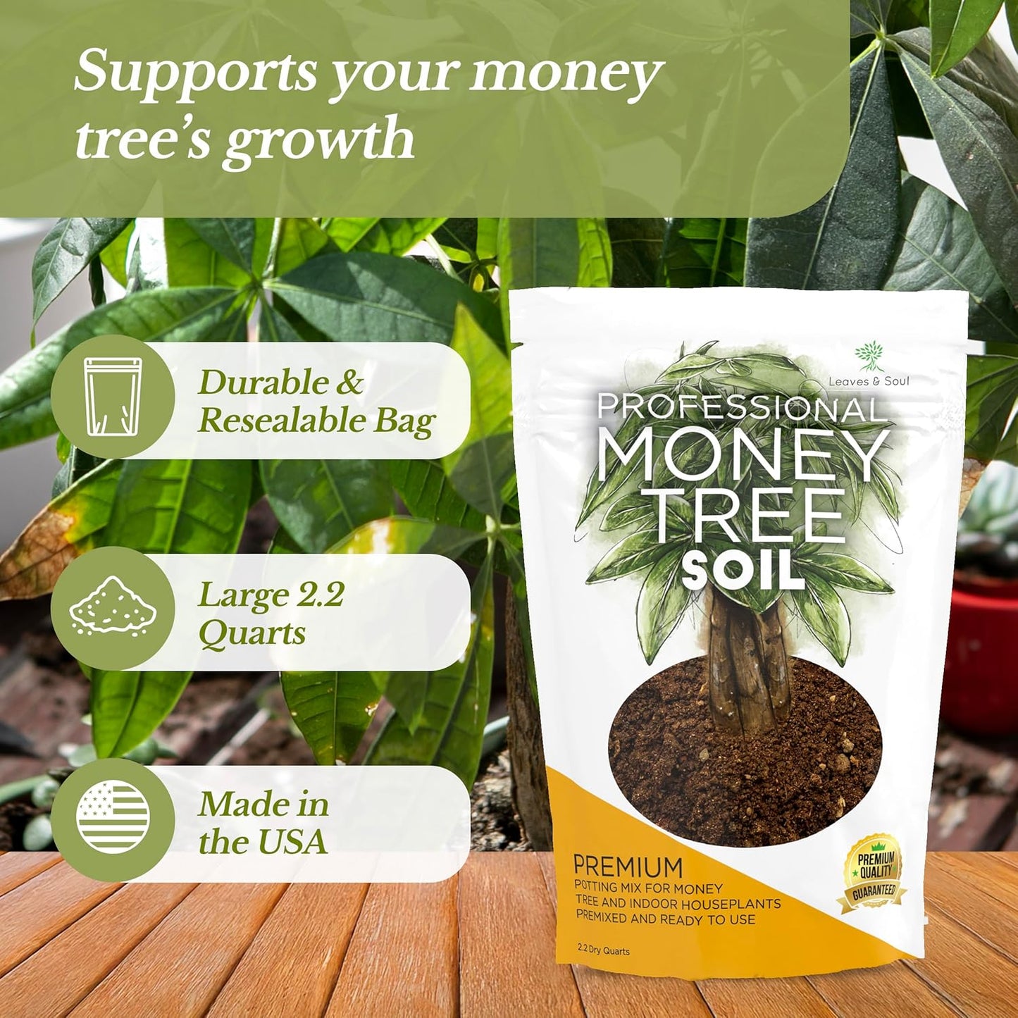 Professional Money Tree Soil | Large 2.2 Quarts Ready to Use for Money Tree Plants | Peat Moss, Coco Coir, Perlite, Dolomite | Made in USA