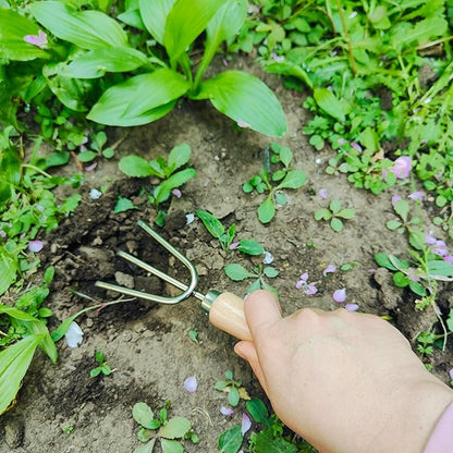 Gardening Tool, Includes Trowels, Rakes, Weeding Tool, and Hand Fork for Digging, Planting, Weeding for(5pcs Garden Tool 02)