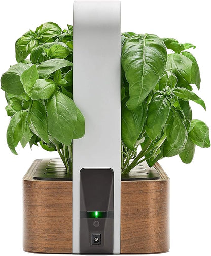 EDN SmallGarden with Basil SeedPods, Indoor Grow Smart Garden for iOS Devices - Fresh Home Grown Herbs, Plants and Flowers - Grow up to 10 Different Plants at Once