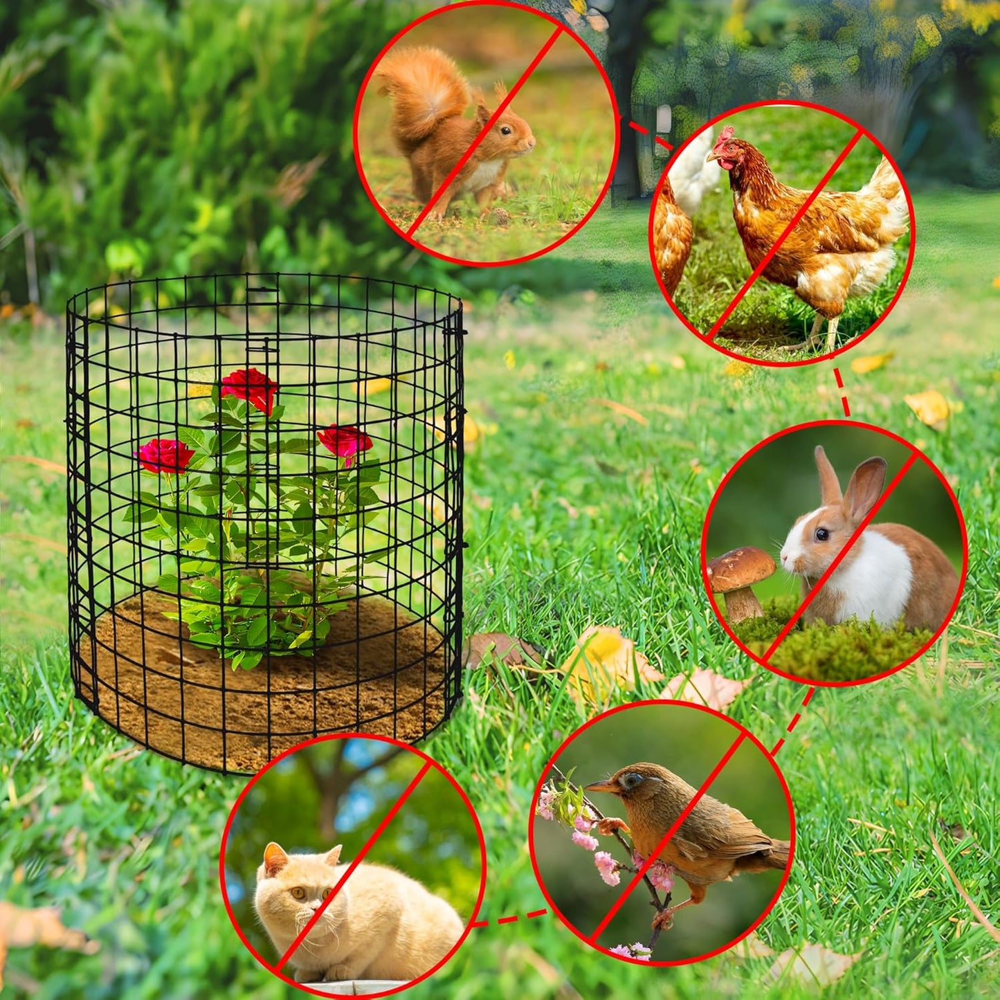 Adnee 10 Packs Wire Plant Protector from Animals - 12" H X 12" D Metal Mesh Plant Cage Covers - Sturdy Garden Bunny Barricades Chicken Wire Cloche for Plants Shrubs Vegetables Flowers