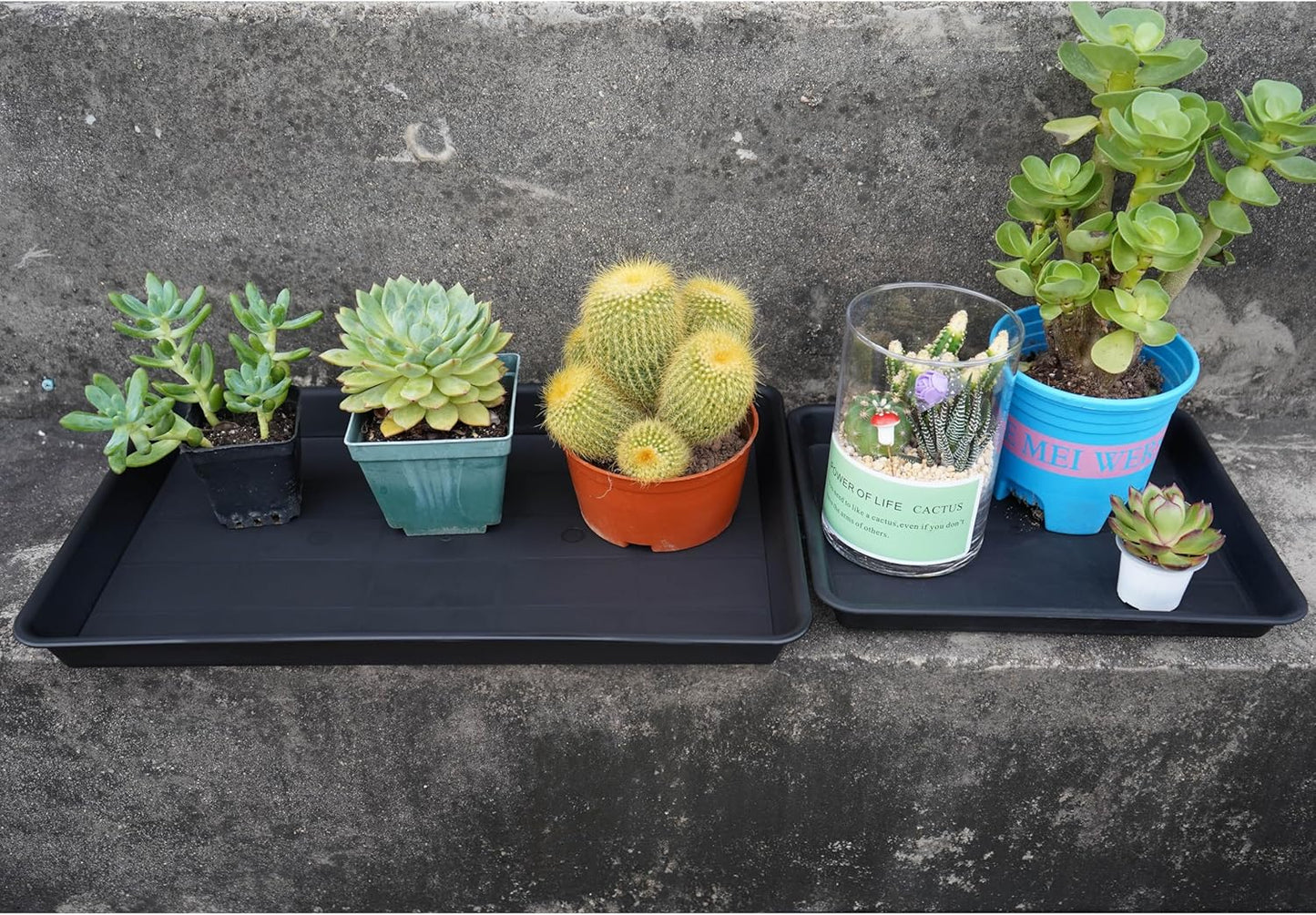 4 Pack Plant Saucer Tray Rectangular, Plant Growing Nursery Trays, Heavy Sturdy Seed Starting Trays, Plants Starter Saucers for Indoors No Holes, Seed Starter Growing Tray (17.5"x10.6", Black)