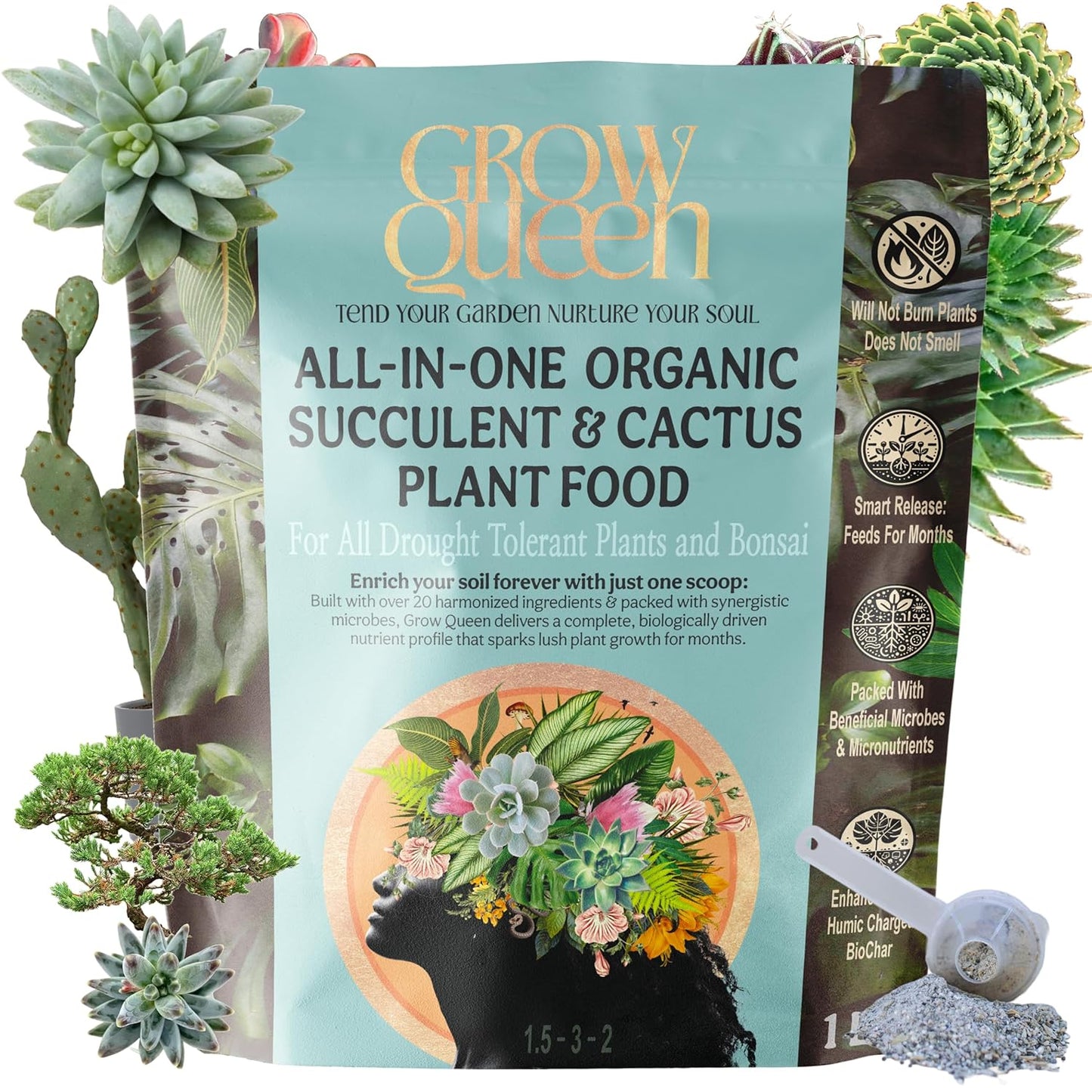 All-In-One Organic Succulent Fertilizer, Cactus Fertilizer, Succulent Plant Food, Bonsai & Cactus Food, 1lb bag = 25 Single Servings, Fast & Slow Release feeds up to 100 plants for 8 months