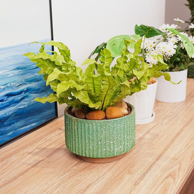 StoneCreek 12 LBS River Rocks, Large Size, Decorative Garden Stones for Plant Landscaping, Polished Gravel Filler Pebbles for Home Decoration, Vases, Succulents(Pale Yellow Pebbles)