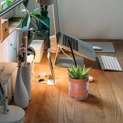 Phoenix Vine 4 Inch Self Watering Planter Pot, Terracotta Clay Pot with Glass Reservoir for Indoor Plants, Herbs, Flowers, Set of 4, 52-A-E-4